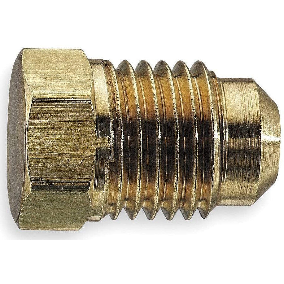 p2-4_large.jpg