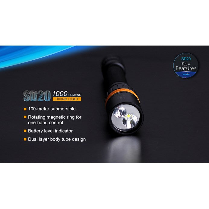 sd20_2_large.jpg