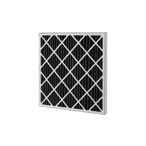 Carbon Web Pleat Filter