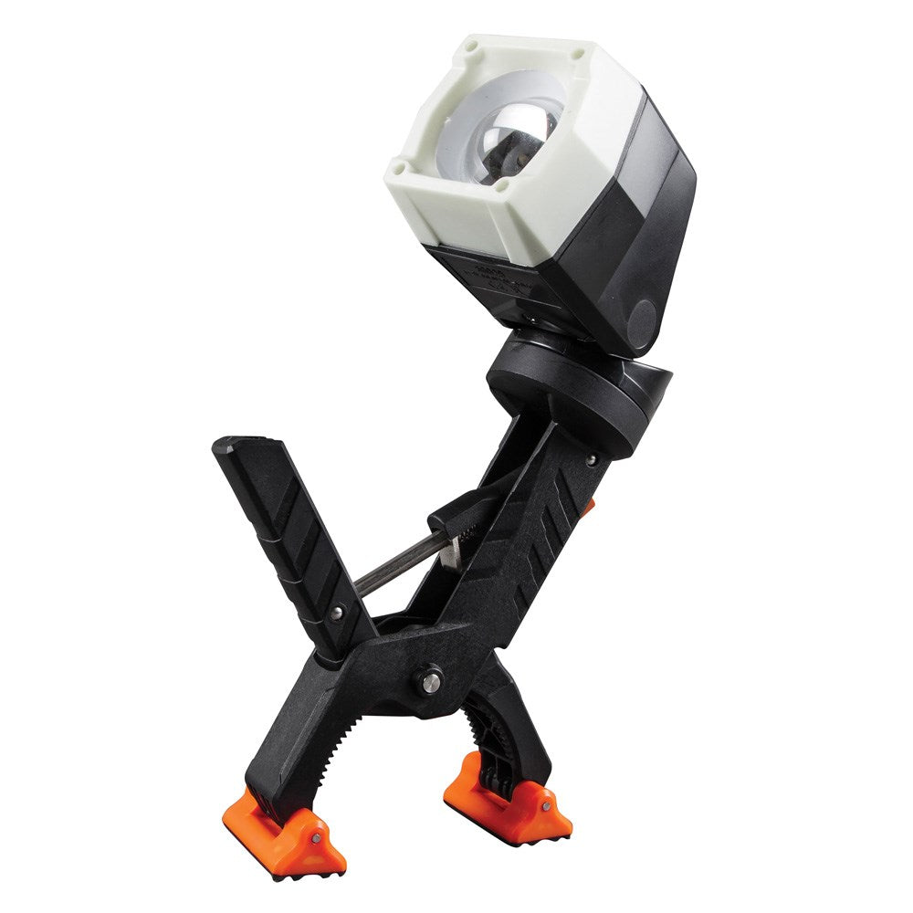 56029_large.jpg