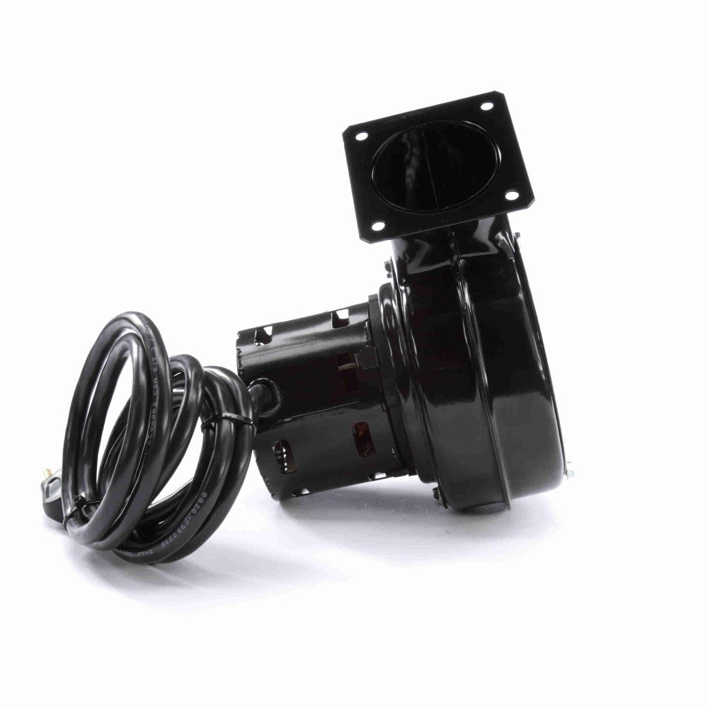 a071_4_large.jpg
