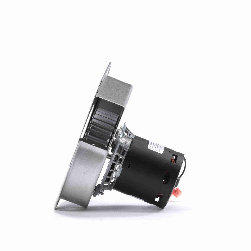 a241_3_large.jpg