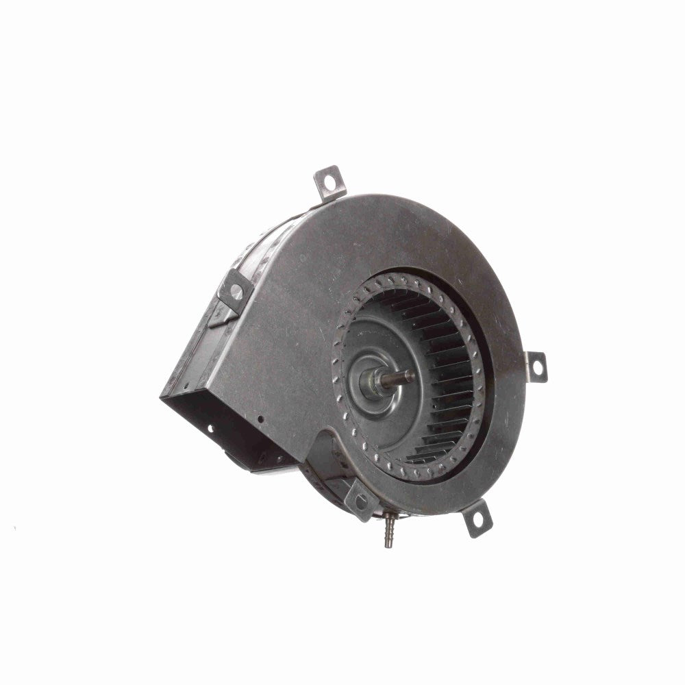 a251_2_large.jpg