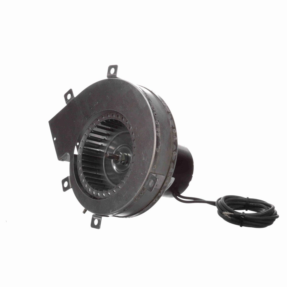 a251_3_large.jpg
