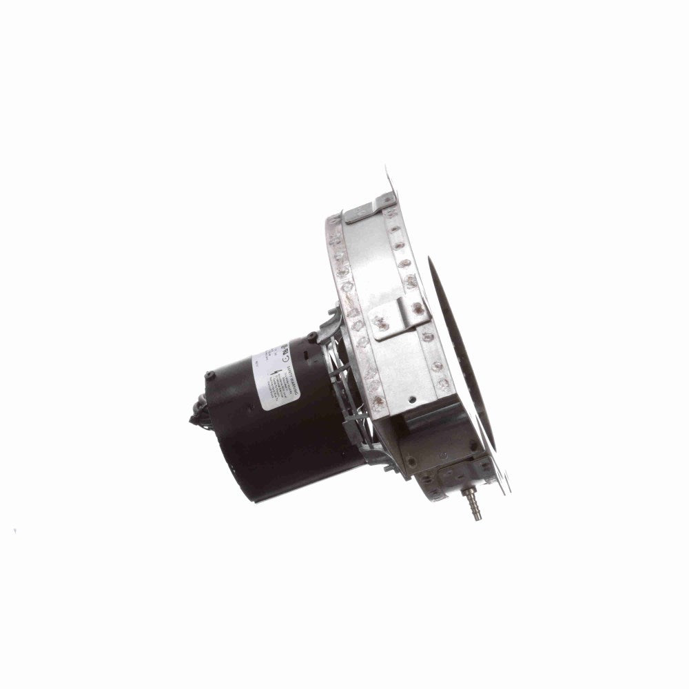 a251_4_large.jpg
