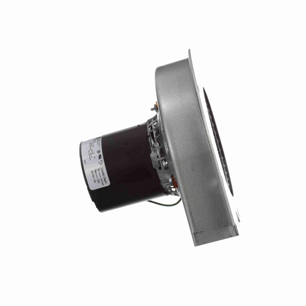 a269_3_large.jpg